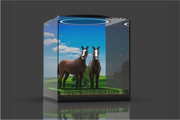 【虚拟展盒】01-草原和马儿